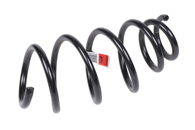 22863829 - Suspension: Coil Spring for Buick: Regal Image