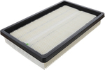 19254690 - : Element for GM Image