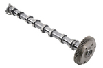55501297 - : Intake Camshaft for Chevrolet: Cruze, Equinox | GMC: Terrain Image
