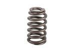 12592506 - Engine: Valve Springs for Buick: Enclave, LaCrosse, Rainier | Cadillac: CTS, SRX, STS | Chevrolet: Camaro, Colorado, Impala, Malibu, Trailblazer, Trailblazer EXT, Traverse | GMC: Acadia, Canyon, Envoy, Envoy XL | Hummer: H3, H3T Image