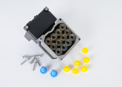 10305174 - Electrical: Control Module for Pontiac: Aztek Image