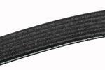 19244944 - Cooling System: Serpentine Belt for Chevrolet: Blazer, C1500, C2500, C3500, K1500 Pickup, K2500 Pickup, K3500 Pickup, S10, S10 Blazer, Suburban C1500, Suburban C2500, Suburban K1500, Suburban K2500, Suburban R1500, Suburban R2500, Suburban V1500, Suburban V2500, Tahoe | GMC: C1500 Pickup, C2500 Pickup, C3500 Pickup, Jimmy, Jimmy S15, K1500 Pickup, K2500 Pickup, K3500 Pickup, S15, Sonoma, Suburban C1500, Suburban C2500, Suburban K1500, Suburban K2500, Suburban R1500, Suburban R2500, Syclone, Typhoon, V1500 Suburban, V2500 Suburban, Yukon | Oldsmobile: Bravada Image