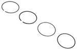 55588455 - : Engine Piston Ring Set for Buick: Encore | Chevrolet: Cruze, Malibu, Trax Image
