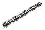 12619823 - : Engine Camshaft for Chevrolet: Silverado 1500, Silverado 1500 LD, Silverado 1500 LTD, Suburban, Tahoe | GMC: Sierra 1500, Sierra 1500 Limited, Yukon, Yukon XL Image