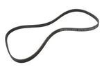 12651112 - Cooling System: Serpentine Belt for Chevrolet: Corvette Image