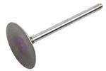 12617533 - Engine: Intake Valve for Cadillac: Escalade, Escalade ESV, Escalade EXT | Chevrolet: Avalanche, Express 2500, Express 3500, Express 4500, Silverado 1500, Silverado 2500 HD, Silverado 3500 HD, Suburban 1500, Suburban 2500, Tahoe | GMC: Savana 2500, Savana 3500, Savana 4500, Sierra 1500, Sierra 2500 HD, Sierra 3500 HD, Yukon, Yukon XL 1500, Yukon XL 2500 | Hummer: H2 | Pontiac: G8 Image