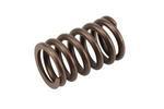 10212811 - Engine: Valve Springs for Buick: Roadmaster | Cadillac: Escalade, Fleetwood | Chevrolet: Astro, Blazer, C1500, C2500, C3500, C3500HD, Caprice, Express 1500, Express 2500, Express 3500, Impala, K1500 Pickup, K2500 Pickup, K3500 Pickup, S10, Silverado 1500, Silverado 1500 Classic, Suburban C1500, Suburban C2500, Suburban K1500, Suburban K2500, Tahoe | GMC: C1500 Pickup, C2500 Pickup, C3500 Pickup, C3500HD, Jimmy, K1500 Pickup, K2500 Pickup, K3500 Pickup, Safari, Savana 1500, Savana 2500, Savana 3500, Sierra 1500, Sierra 1500 Classic, Sonoma, Suburban C1500, Suburban C2500, Suburban K1500, Suburban K2500, Yukon | Oldsmobile: Bravada Image
