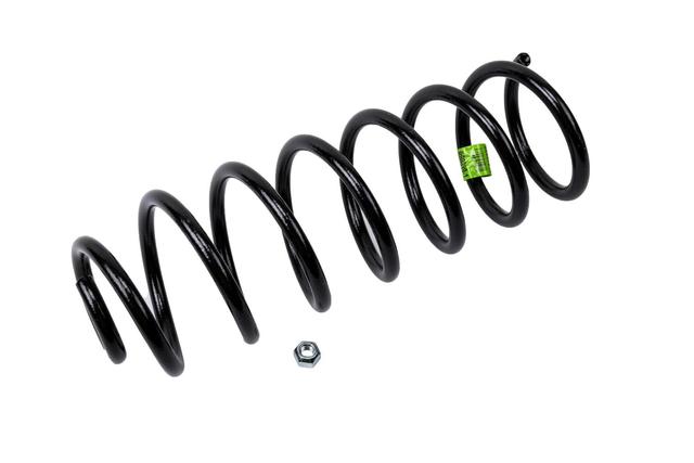 22698016 - Suspension: Spring for GM Image