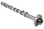 55569187 - : Camshaft for Buick: Cascada Image