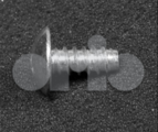32005356 - Body: Bumper Cover Screw for Saab: 9-2X Image