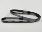 55563222 - : Serpentine Belt for Saab: 9-5 Image