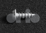 11900491 - : Screw for Saab: 9-3 Image