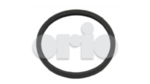 3522676 - : Thermostat Gasket for Saab: 9-3, 9-3X, 9-5 Image