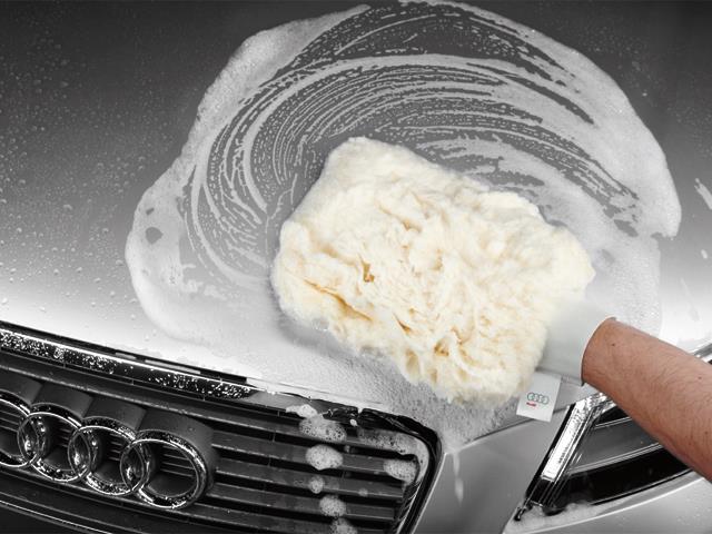 ZAW911380 - Miscellaneous: Premium car wash mitt for Audi: A3, A3 Quattro, A3 Sportback e-tron, A4 allroad, A4 Quattro, A5 Quattro, A6 Quattro, A7 Quattro, A8 Quattro, allroad, Q3, Q5, Q7, R8, RS5, RS7, S3, S4, S5, S6, S7, S8, SQ5, TT Quattro, TT RS Quattro, TTS Quattro Image