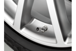 80A071215 - Wheels: Valve Stem Caps for Audi: A3, A3 Quattro, A3 Sportback e-tron, A4 allroad, A4 Quattro, A5 Quattro, A5 Sportback, A6 allroad, A6 Quattro, A7 Quattro, A7 Sportback, A8 Quattro, allroad, e-tron GT, Q3, Q4 e-tron, Q5, Q5 Sportback, Q7, Q8, R8, RS e-tron GT, RS3, RS5, RS5 Sportback, RS7, S3, S4, S5, S5 Sportback, S6, S7, S8, SQ5, SQ5 Sportback, SQ7, SQ8, TT Quattro, TT RS Quattro, TTS Quattro Image