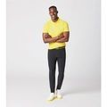 4056487002484 - : P-ICON POLO - Celandine Yellow for Porsche Image