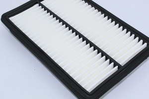                                     Engine Air Filter
                                