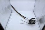 TD1159310D - Body: Lock for Mazda: CX-9 Image