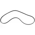 LK4Z8620C - : Genuine Ford 20-24 Transit 3.5L Dual Alternator Serpentine Belt LK4Z-8620-C for Ford Image