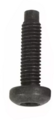 W505584S436 - : Genuine Ford 96-11 Crown Victoria Town Car Door Trim Panel Screw M6 W505584-S436 for Ford Image