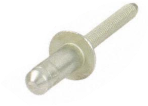 Genuine Ford F-150 F-350 Super Duty Pillar and Floor Pan Rivet W702554-S900C - Ford (W702554-S900C)