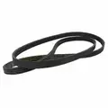 DK4Z8620B - : Genuine Ford 15-19 Transit Accessory Drive Serpentine Belt DK4Z-8620-B for Ford Image
