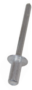 Genuine Ford Edge Flex MKS Bumper Cover Support Rail Rivet 4.8mm W714599-S900 - Ford (W714599-S900)