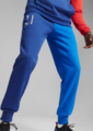 80145B3EAC4 - : BMW Puma M Motorsport ESS Fleece Pants for BMW Image