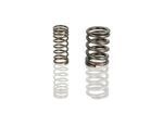 PCG109623 - : 1 Set Of Valve Springs - Porsche 924 for Porsche Image