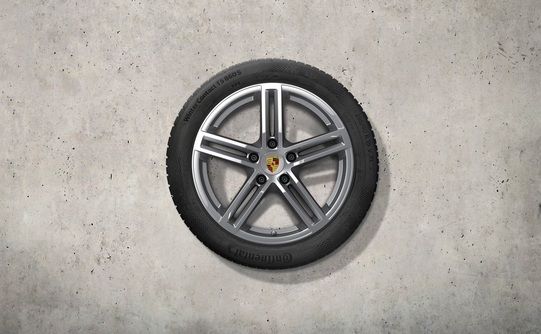976044601A - : 19-inch Panamera winter wheel-and-tire set for Porsche Image