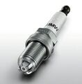 ビーバー５５ 3TM-Sx08c56cm21px1-B60-57-Nxur