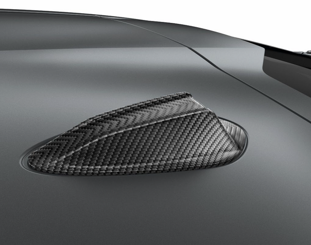 Genuine BMW 65-20-5-A59-AD9 | M Performance Aramide Fiber Antenna