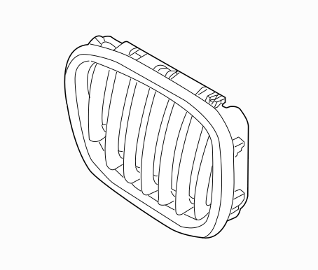 51137157688 - Body: Grille for BMW: X5, X6 Image