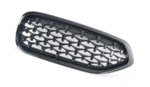 51138091295 - : G29 Z4 Gloss Black Kidney Grille - Left for BMW: Z4 Image