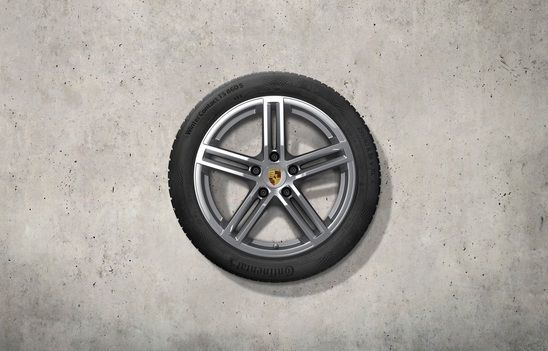 976044600A - Wheels: 19-Inch Panamera Winter Wheel And Tire Set for Porsche Image