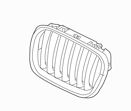 51137157687 - Body: Grille for BMW: X5, X6 Image
