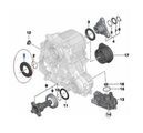 27107539262 - : Transfer Case Input Shaft Seal for BMW: 228i xDrive, 230i xDrive, 320i xDrive, 328d xDrive, 328i GT xDrive, 328i xDrive, 328xi, 330i GT xDrive, 330i xDrive, 335i GT xDrive, 335i xDrive, 335xi, 340i GT xDrive, 340i xDrive, 428i xDrive, 428i xDrive Gran Coupe, 430i xDrive, 430i xDrive Gran Coupe, 435i xDrive, 435i xDrive Gran Coupe, 440i xDrive, 440i xDrive Gran Coupe, 525xi, 528i xDrive, 528xi, 530xi, 535d xDrive, 535i GT xDrive, 535i xDrive, 535xi, 550i GT xDrive, 550i xDrive, 640i xDrive, 640i xDrive Gran Coupe, 650i xDrive, 650i xDrive Gran Coupe, 740Ld xDrive, 740Li xDrive, 750i xDrive, 750Li xDrive, Alpina B6 xDrive Gran Coupe, Alpina B7 xDrive, Alpina B7L xDrive, M235i xDrive, M240i xDrive, X1, X3, X4, X5, X6 Image