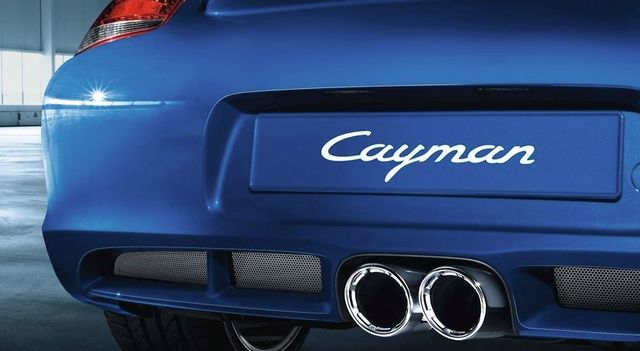98704480210 - : 987-2 Cayman (2009-2012) Painted Rear Apron Grilles for Porsche Image
