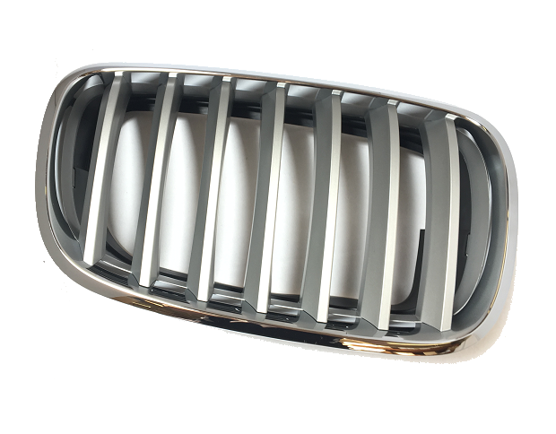 51137185224 - Body: Grille for BMW: X5, X6 Image