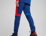 80225B5FB33 - : BMW M Motorsport MT7+ Puma Sweat Pants CC - Pro Blue-M Color for BMW Image
