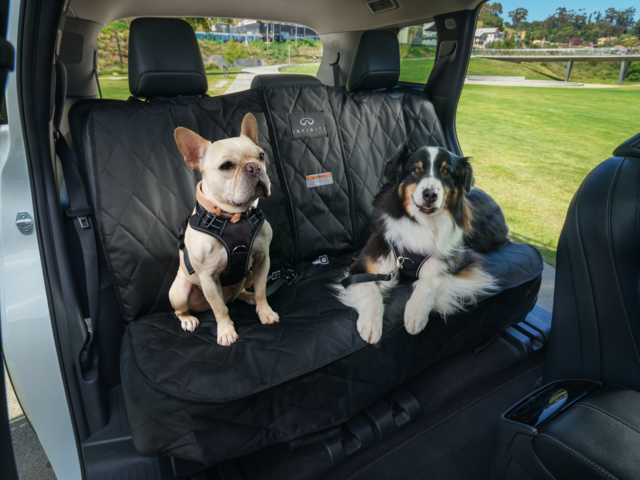 T99N46SA0P - : Pet Seat Protector (Bench Seat) for Infiniti Image