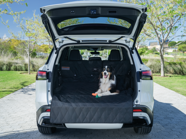 T99C36SA0P - Cargo Management: Pet Cargo Area Protector for INFINITI: QX60 Image