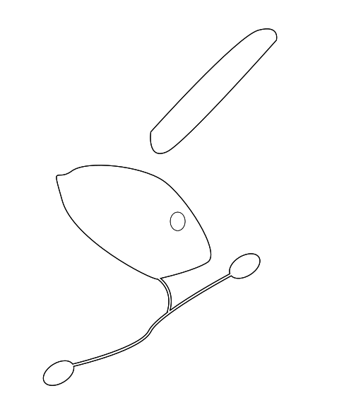 282083EV2A - Electrical: Antenna Assembly for INFINITI: FX35, FX37, FX50, QX70 Image