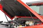 10629 - : Hood Struts | Hydraulic | Fits Jeep Gladiator JT/Wrangler JL 4WD (2018-2024) for Rough Country Image