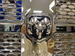 68147353AA - Exterior Ornamentation: Radiator Grille for Ram: 2500, 3500 Image