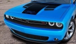 5KY94RXFAA - : Hood Decal for Dodge: Challenger Image