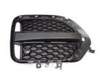 T4N12783 - : Outer Grille for Jaguar Image