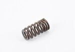 11347563462 - Engine: Valve Springs for BMW: M2, M3, M4, X3, X4 Image