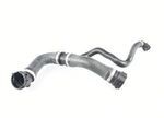 17127619256 - Cooling System: Lower Hose for BMW Image