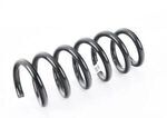 31332284662 - Suspension: Spring for BMW Image